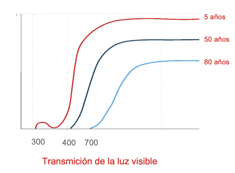 https://www.shamiruniversity.com.mx/wp-content/uploads/2021/02/Captura-de-Pantalla-2021-02-15-a-las-1.21.03.png