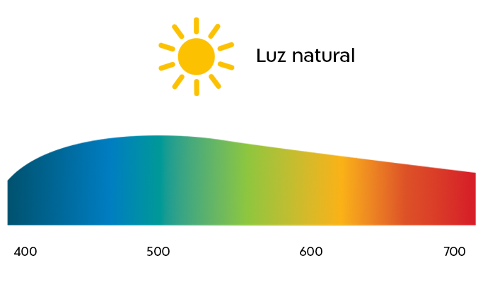 https://www.shamiruniversity.com.mx/wp-content/uploads/2021/02/Espectro_luznatural.png