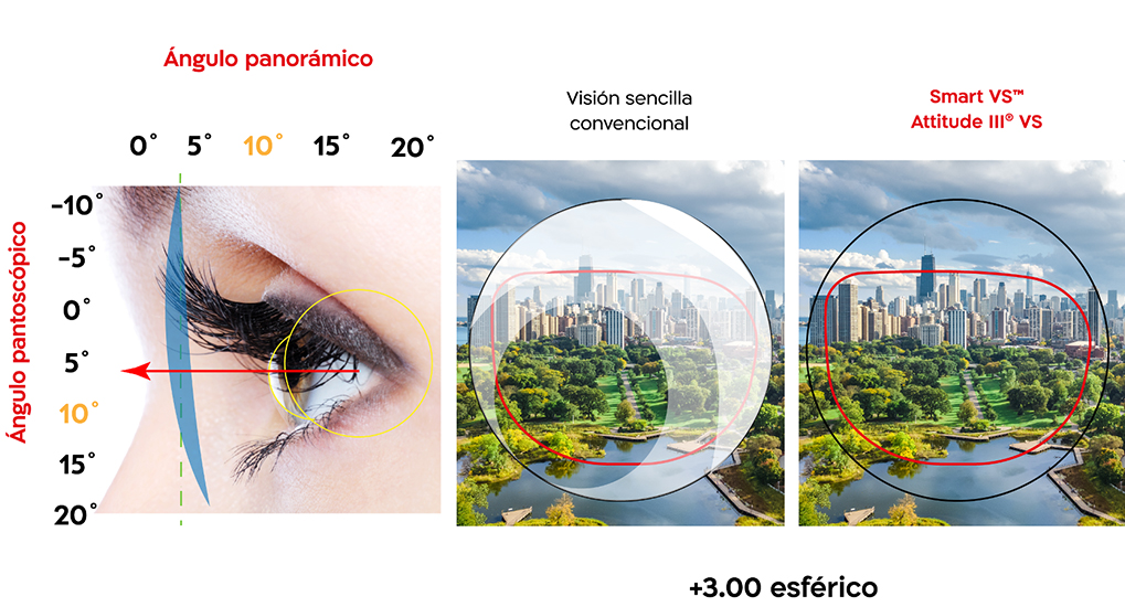https://www.shamiruniversity.com.mx/wp-content/uploads/2021/02/Panoramico_10_3SPH.jpg