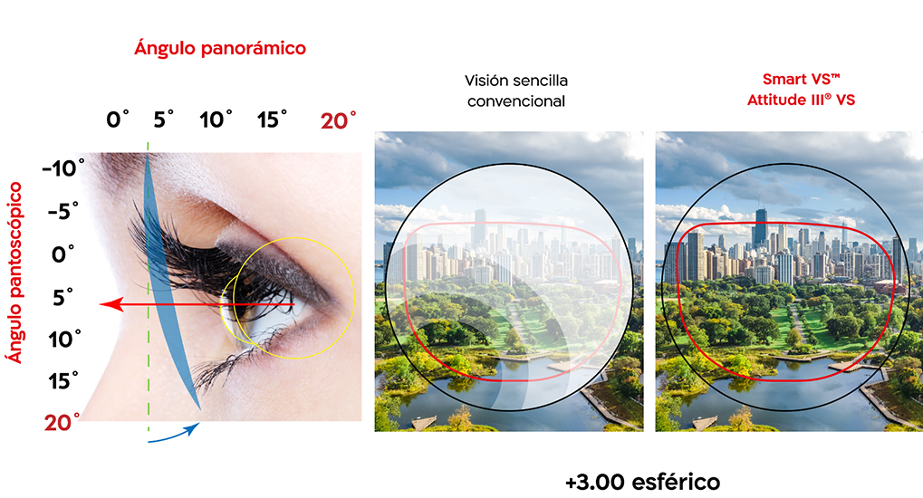 https://www.shamiruniversity.com.mx/wp-content/uploads/2021/02/Panoramico_20_3SPH.jpg