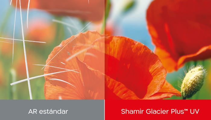 https://www.shamiruniversity.com.mx/wp-content/uploads/2021/02/Skratch_Comparation.png