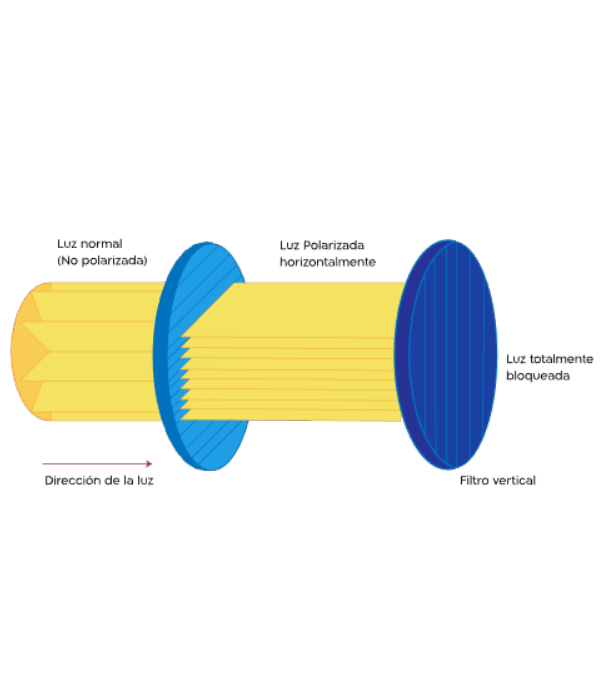 https://www.shamiruniversity.com.mx/wp-content/uploads/2021/04/elemento-1.png
