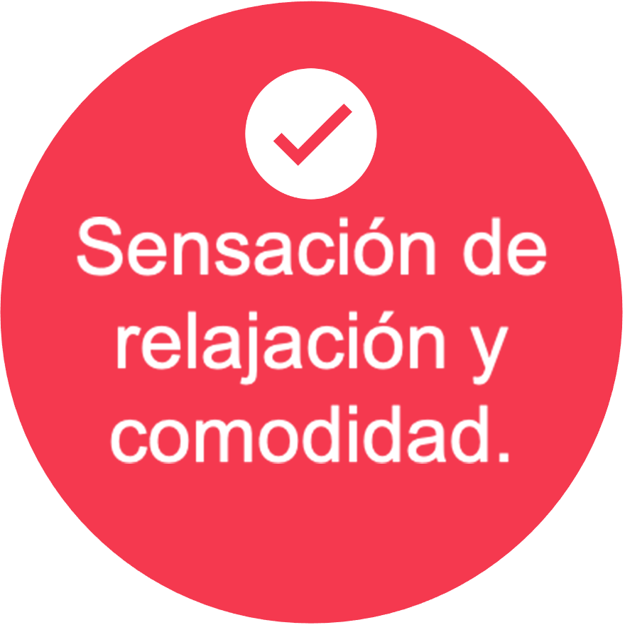 https://www.shamiruniversity.com.mx/wp-content/uploads/2022/07/m12.png